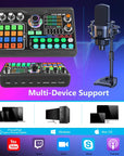 Professional Podcast Microphone SoundCard Kit