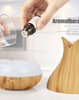 Classic Air Humidifier Oil Diffuser for Home Office 500ML