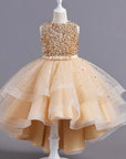 Elegant Sequins Dress For Princesses