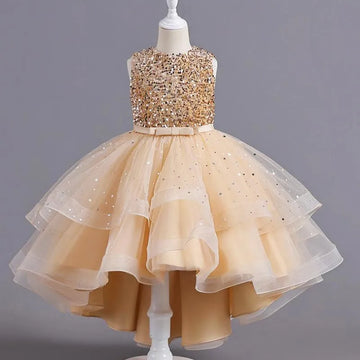 Elegant Sequins Dress For Princesses