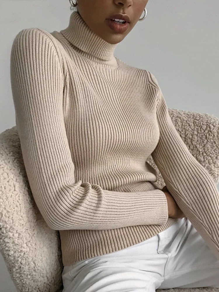 Women Sweater