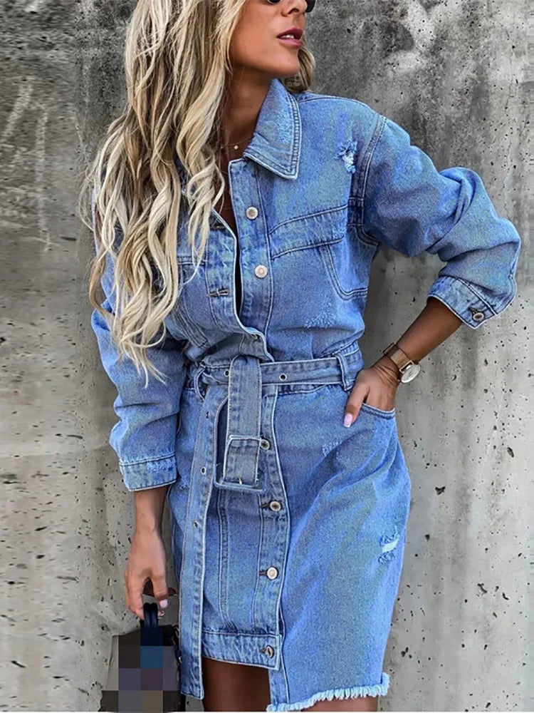 Full Sleeve Denim Dress