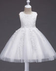 Gorgeous Lace Sleeveless Flower Dress For Girls