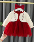 Girls Spring Autumn Fashion Dress